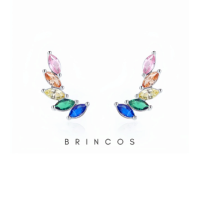 Brincos