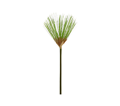Papiro Haste 74x13cm
