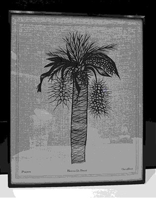 Quadro Madeira Tecido Linho Botânico II 41x51x3 CM - CAROL SIMÓ