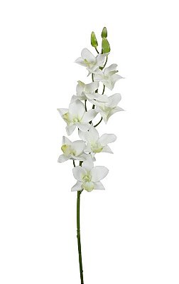 Orquídea Dendrobium  Branca 70cm