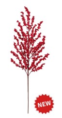 Haste Berry Tradicional