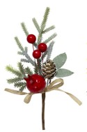 Haste Natal Berry