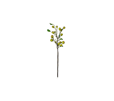 Haste De Pera 88cm
