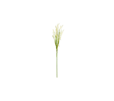 Haste De Foxatil Creme 70cm