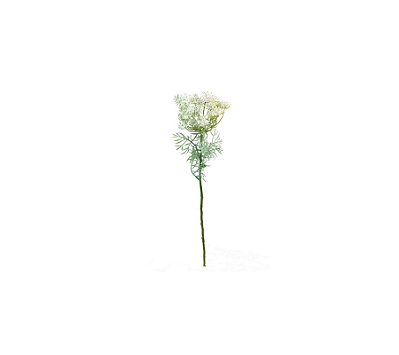 Flor De Cenoura Branco 65cm