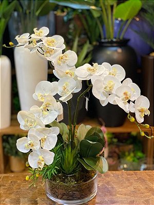 Arranjo 3 orquídeas brancas