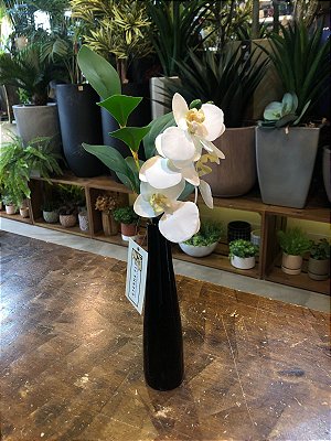 Arranjo mini orquídea branca em vaso solitário preto