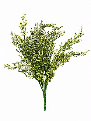 BERRY SEMENTE (VERDE) 36cm