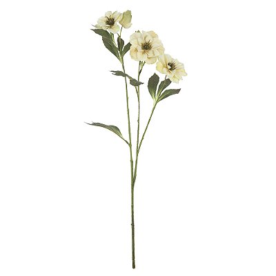 HELEBOROS REAL TOQUE (CREME OUTONO) 65cm