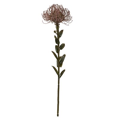 PROTEA (MARSALA) 60cm