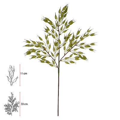 AVEIA (VERDE OLIVA) 66cm