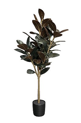 FICUS ELASTICA (VERDE PURPURA) 1,3m