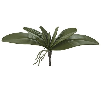 FOLHA ORQUIDEA PHALAENOPSIS X5 (VERDE) 32cm