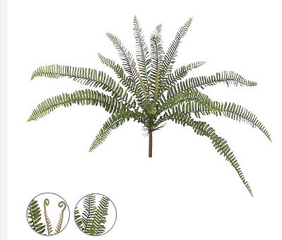 SAMAMBAIA MEDIA (VERDE) 65cm