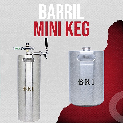 Mini keg