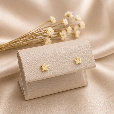Brinco Banhado a Ouro De Estrela Fixo Bijou Art