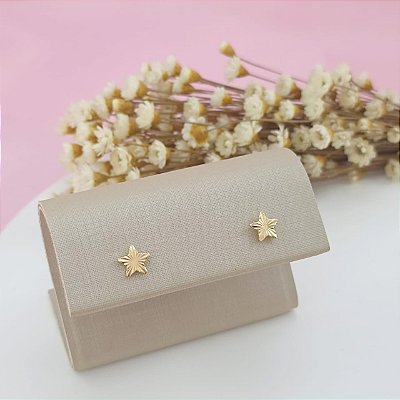 Brinco Banhado a Ouro De Estrela Fixo Bijou Art