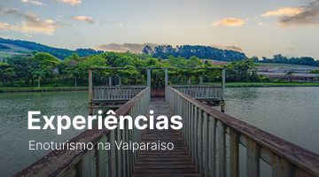 Enoturismo
