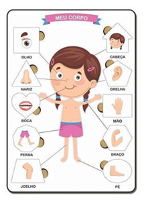 Brinquedo Educativo Tabuleiro Encaixe Corpo Humano Menina Mdf - Mega Impress