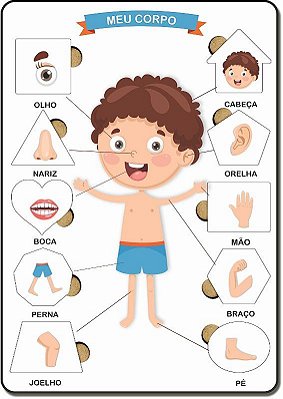 Brinquedo Educativo Tabuleiro Encaixe Corpo Humano Menino Mdf - Mega Impress