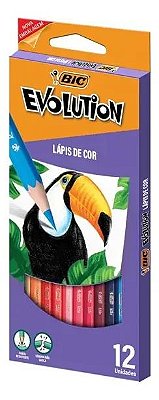 Lapis De Cor C/12 Evolution Bic