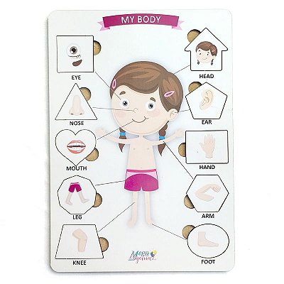 Brinquedo Educativo Tabuleiro Encaixe Inglês Corpo Humano Menina Mdf - Mega Impress