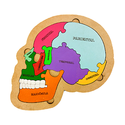 Brinquedo Educativo Quebra Cabeça Crânio Mdf Madeira