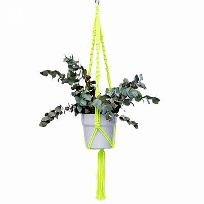 Hanger Neon