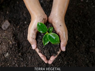 TERRA