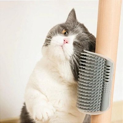 Escova Massageadora De Gato Com Catnip Para Parede Petshop