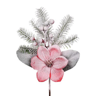 Heléboro Vermelho Nevado com Berry