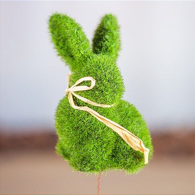 Coelho da Páscoa em Musgo Pick