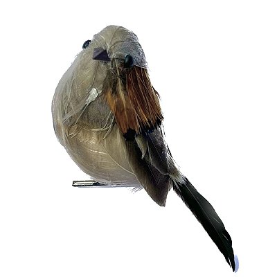 Pássaro em Penas Marrom