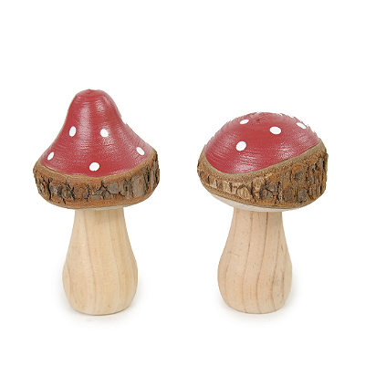 Dupla de Cogumelos em Madeira