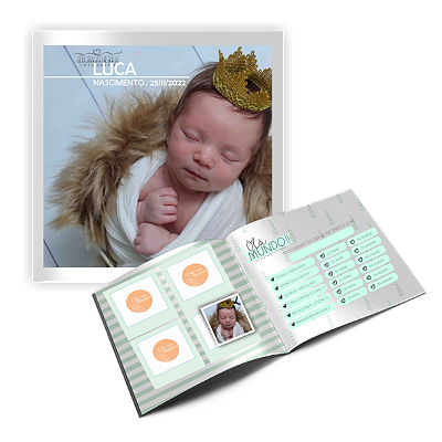 Álbum de figurinhas livro do bebe