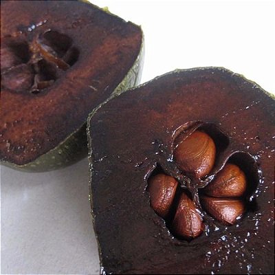 Sapota Preta ou Fruta Chocolate - Lindas Mudas