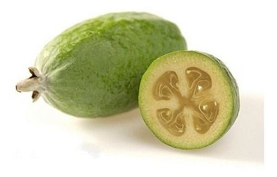 Goiaba Feijoa ou Goiaba Serrana - Lindas Mudas