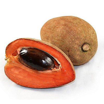 Mamei ou Mamey ou Sapota Mamey - Lindas Mudas