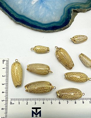 Concha com borda dourada- 01 unid