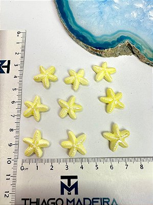 Pingente Estrela Passante - 01 und
