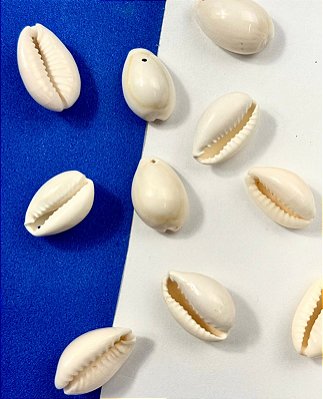 Buzios natural com furo - pacote 10pçs