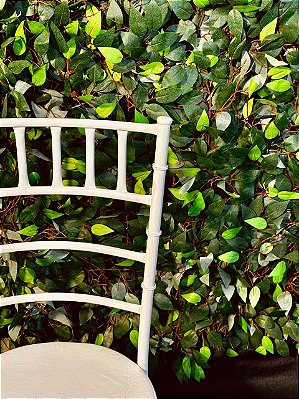 5268 Cadeira ferro Tiffany