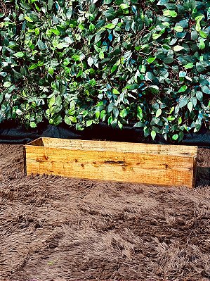 6118 Canteiro rústico