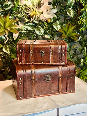 3845 maletas conjunto