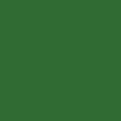 EVA Emborrachado Verde Folha Liso 40X60cm - BRW - Esp 2mm - PT 10 fls