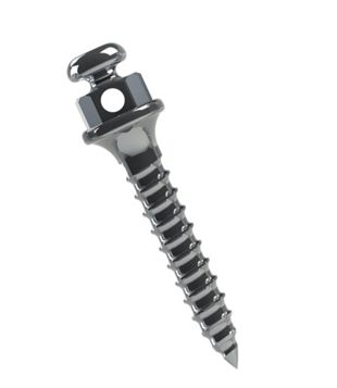 Miniparafuso Ortodôntico 8mm (1mm) - Morelli