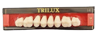 Dente Trilux Posterior Superior M2 Cor 4B – Vipi