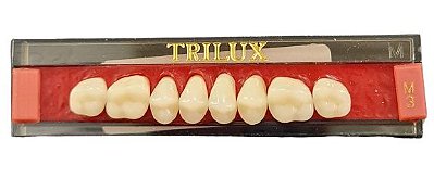 Dente Trilux N Posterior Superior M3 Cor 1E - Vipi