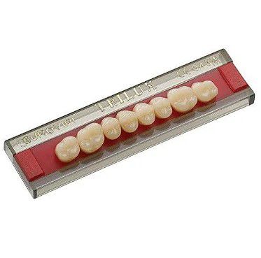 Dente Trilux Posterior Superior M2 Cor 2B - Vipi