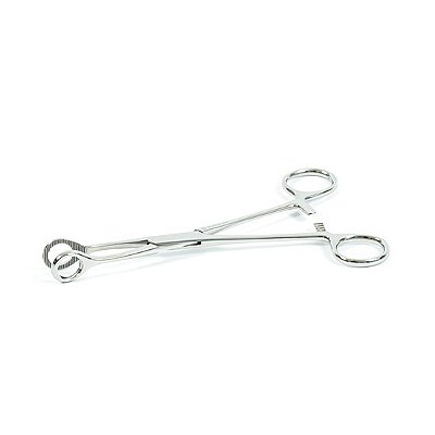 Pinça Collin Oval 19cm - Quinelato